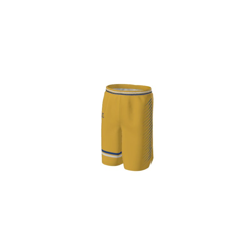Basketball Vice XE-Caliber Shorts. (x 15)