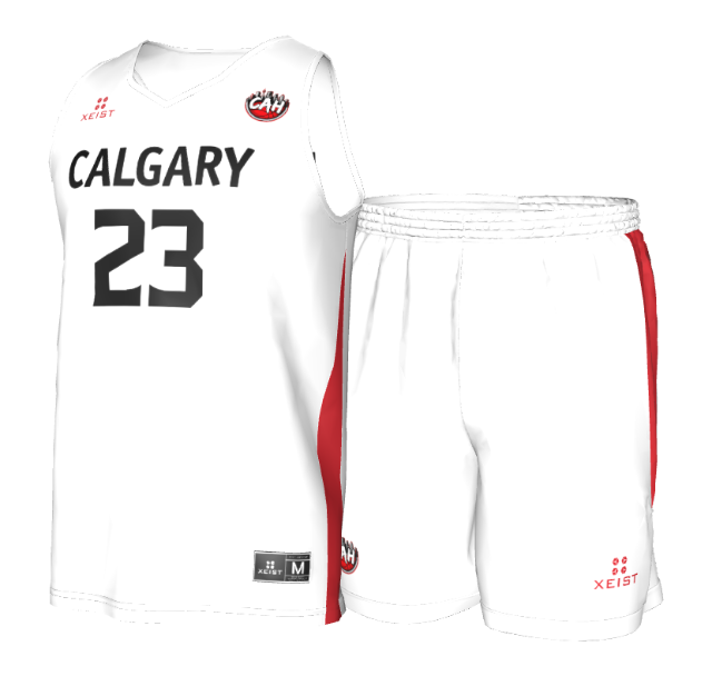 The kit — jersey and matching shorts