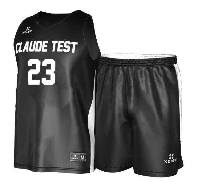 The kit — jersey and matching shorts