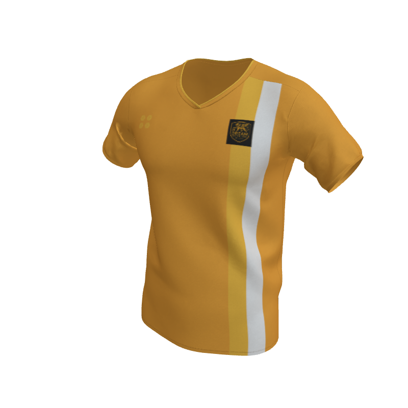 Soccer Paris Equalizer Jerseys. (x 6)